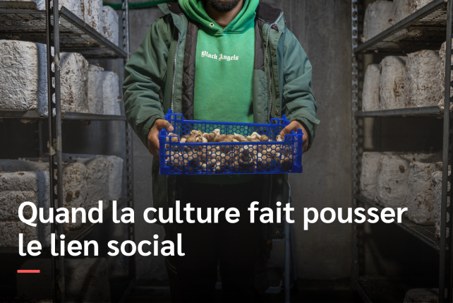 Une champignonnière urbaine au service du lien social