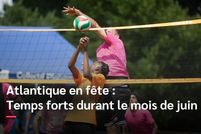 Découvrez les animations organisées