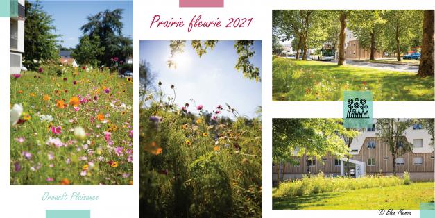 Gestion différenciée des espaces verts