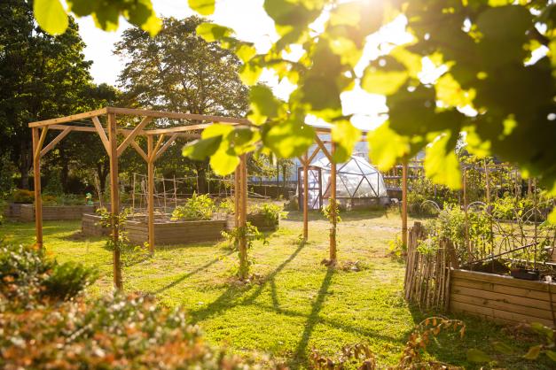 48h de l'agriculture urbaine Grand Bellevue - Demandez le programme 