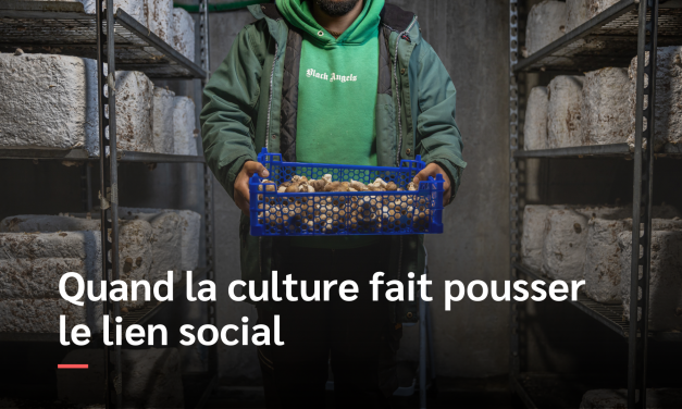 Une champignonnière urbaine au service du lien social