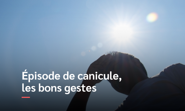 Episode de canicule, les bons gestes